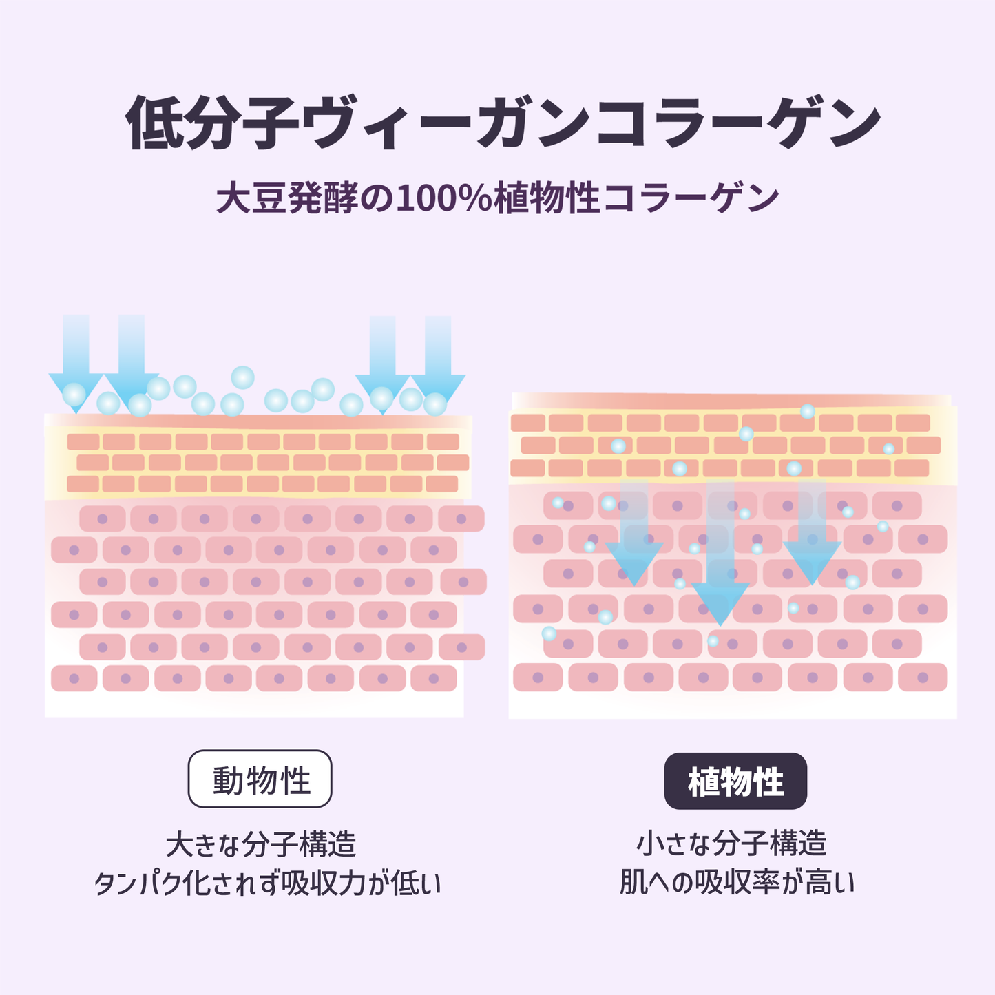 [BLITHE]プレスドセラム ツンドラチャーガ